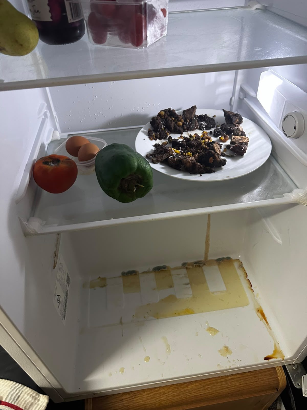 Refrigerator before